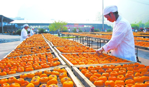 2017年農產品加工財稅扶持政策大操盤，您享受到了嗎？